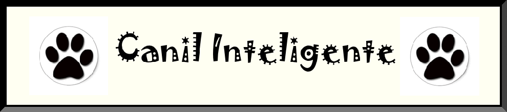 Loja de canilinteligente